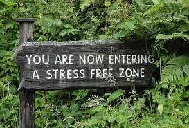 How Can You “Master” the Stress in YOUR Life?